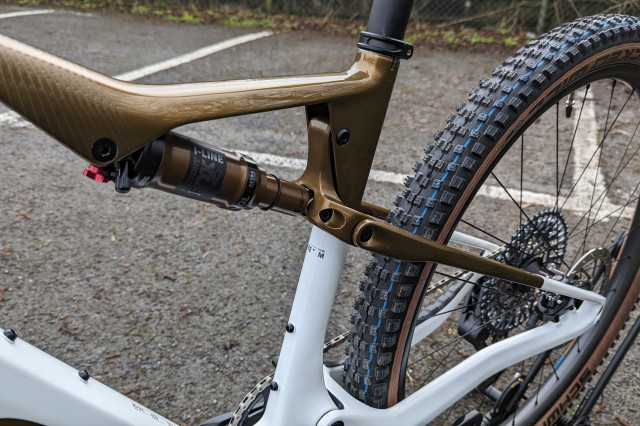 Orbea_Oiz_M-Team_AXS_shock2.jpg