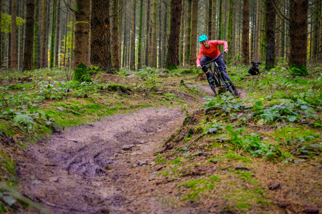 Ribble HT Ti Riding-3.jpg
