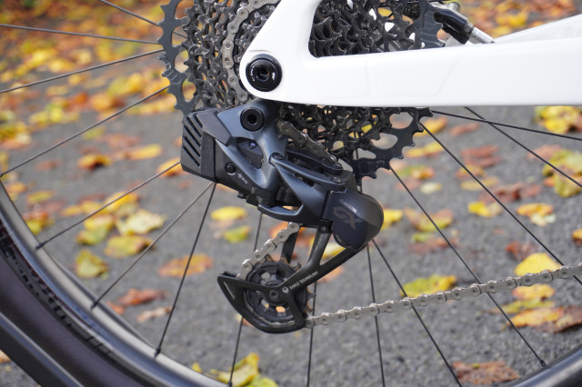 Rockrider_RACE_900S_GX_AXS_Eagle.JPG