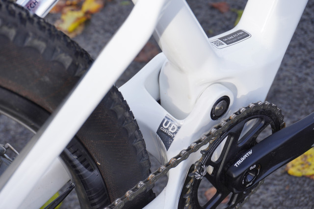 Rockrider_RACE_900S_GX_AXS_Linkage2.JPG