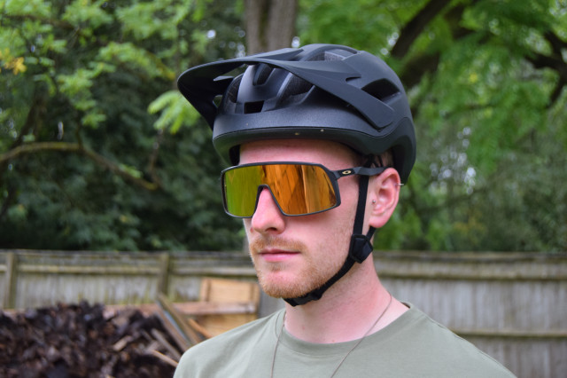 Roost-head.JPG