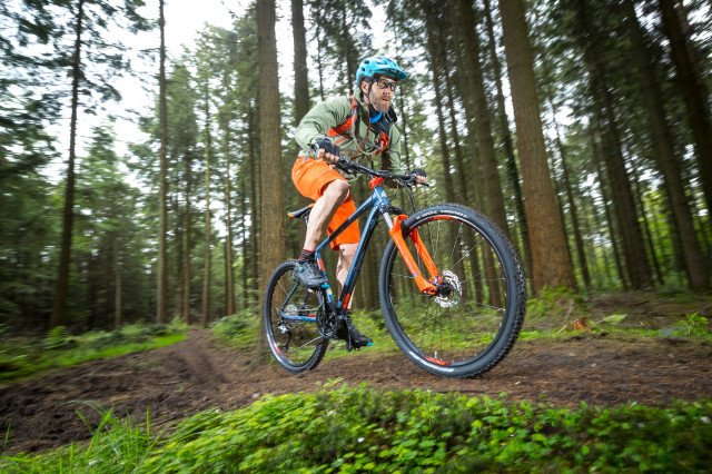 Marin Bobcat Trail 4 Riding