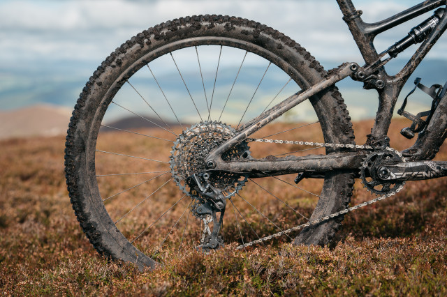 2021 Specialized Stumpjumper First Ride