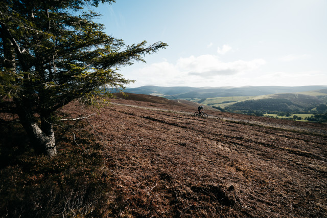 2021 Specialized Stumpjumper First Ride