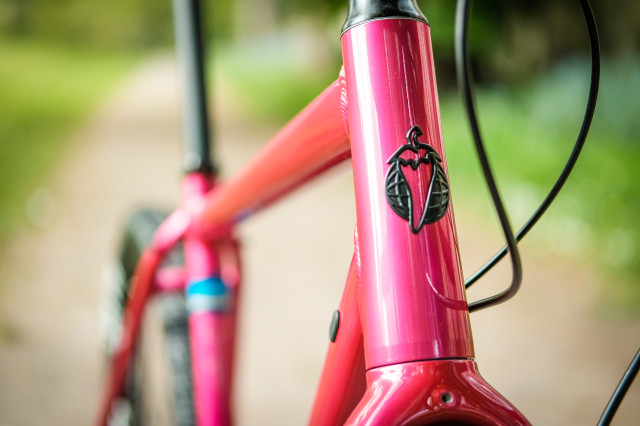 Salsa Journeyman Apex 1 First Look-15.jpg