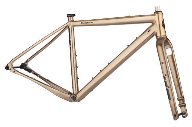 Salsa Stormchaser singlespeed gravel bike 2020 3.png