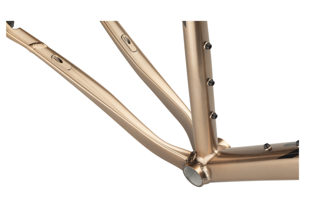 Salsa Stormchaser singlespeed gravel bike 2020 4.png