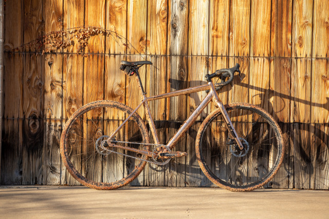 Salsa Stormchaser singlespeed gravel bike 2020 6.jpg