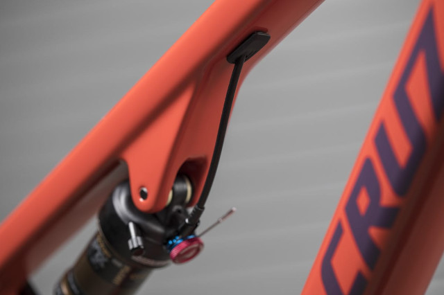 Santa Cruz Blur 5.jpg