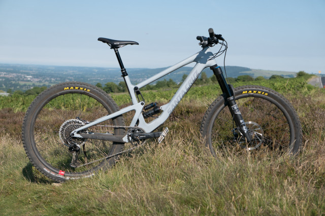 Santa-Cruz-Bronson-2019-103.jpg