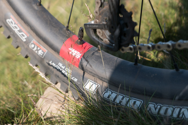 Santa-Cruz-Bronson-2019-106.jpg