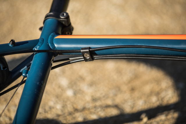 Saracen Mantra_18.jpg