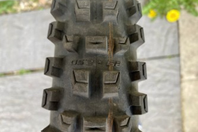 Schwalbe Albert Gravity Radial _1.jpg