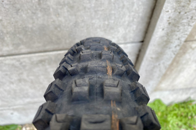 Schwalbe Albert Gravity Radial _2.jpg