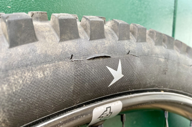 Schwalbe Albert Gravity Radial _5.jpg
