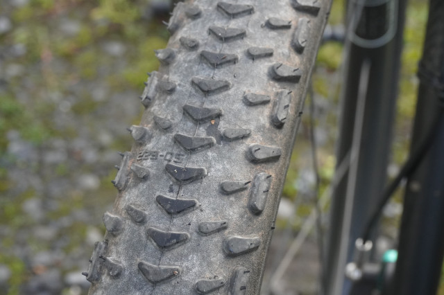 Schwalbe G-One RX Pro Boomerang.JPG