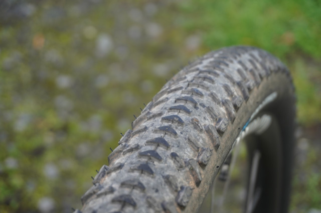 Schwalbe G-One RX Pro Carcass.JPG
