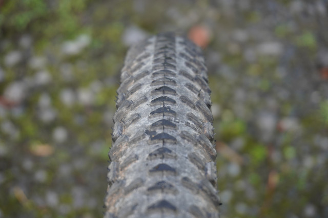 Schwalbe G-One RX Pro Straight.JPG