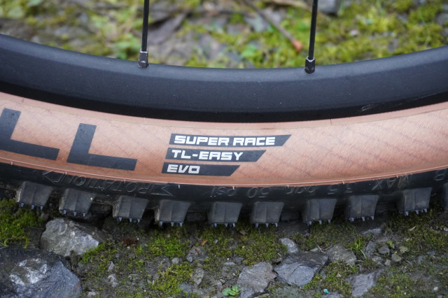 Schwalbe Wicked Will logo.JPG