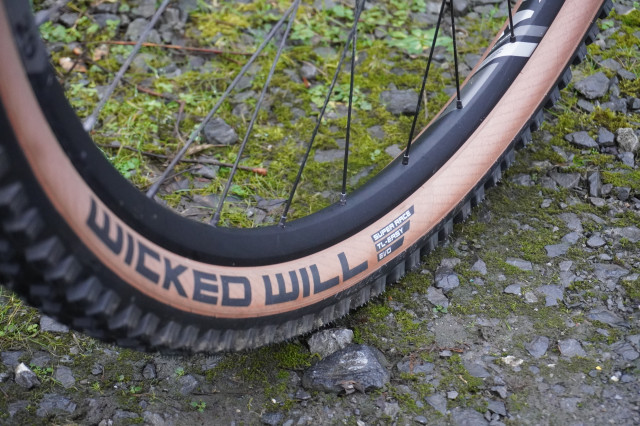 Schwalbe Wicked Will side.JPG