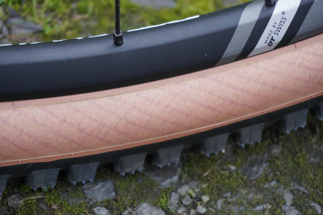 Schwalbe Wicked Will sidewall.JPG