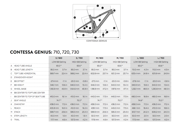 Scott Contessa Genius Geometry.png