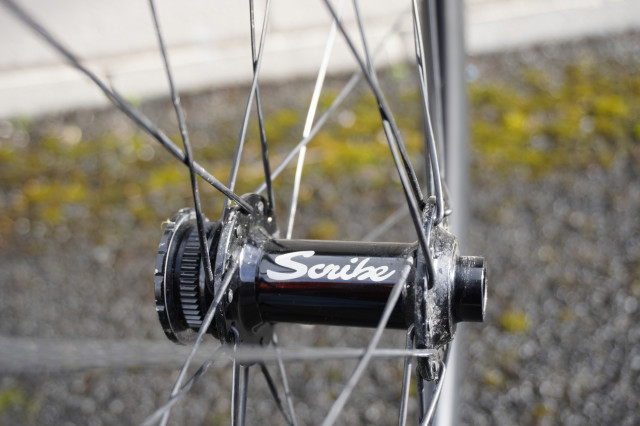 Scribe_Gravel_Wide++_40_CD_Carbon_Front_Hub.JPG