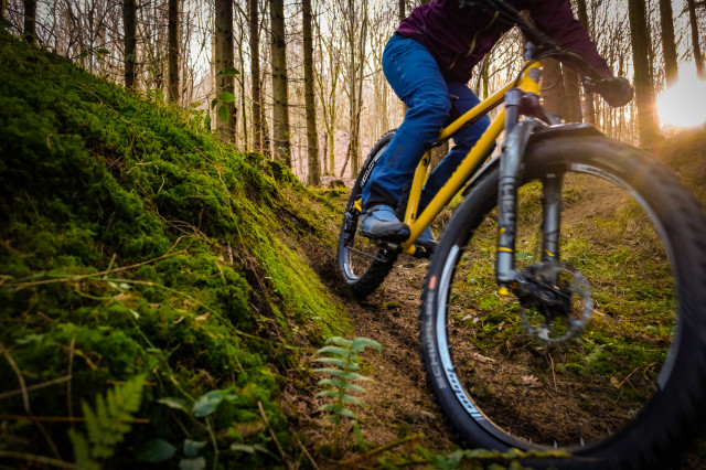 Shand Shug Riding-5.jpg