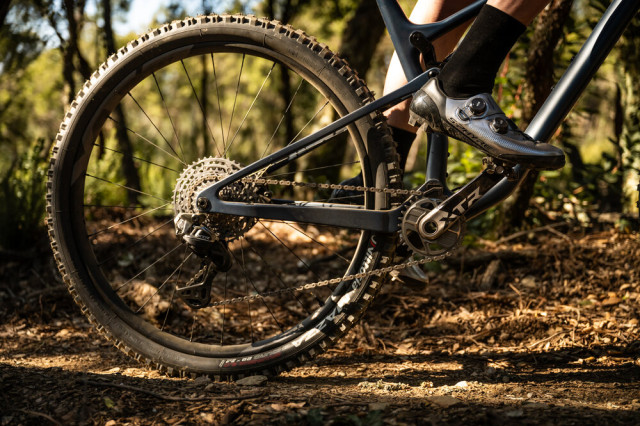 Shimano XTR Ltd edition s-phyre shoes.jpg