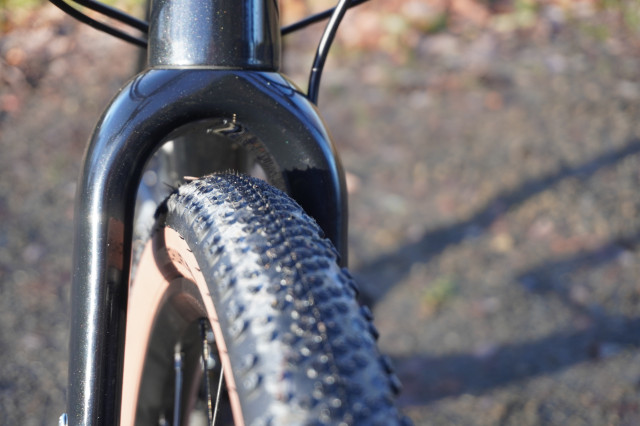 Sonder Camino Al GRX2 fork clearance.JPG