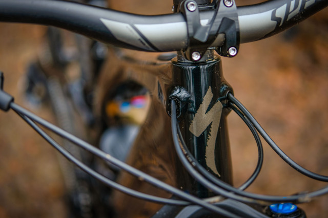 Specialized Levo SL Carbon Comp -15.jpg