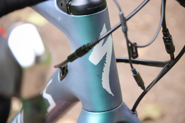 Specialized S-Works Diverge - head tube badge.jpg