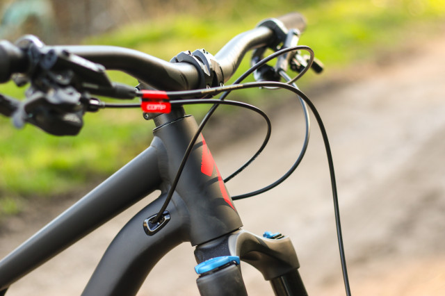 Specialized Stumpjumper Detail-9.jpg