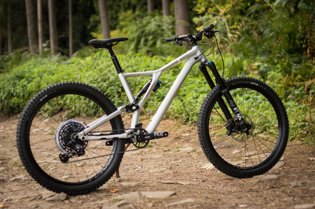Specialized Stumpjumper Evo-12.jpg