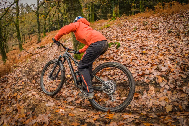 Specialized Stumpjumper Riding-2.jpg