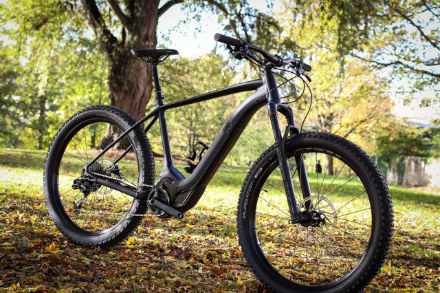 Specialized Turbo Levo HT - full bike.jpg