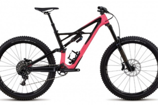 Specialized Enduro 2018 elite