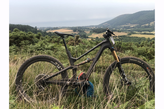 Survive MTB sportive trail bike.jpg