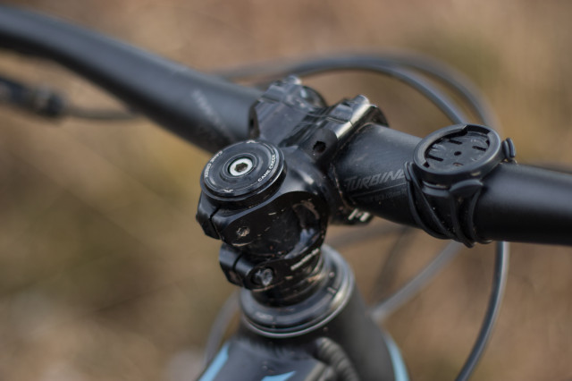 Transition Smuggler Detail Stem-11.jpg