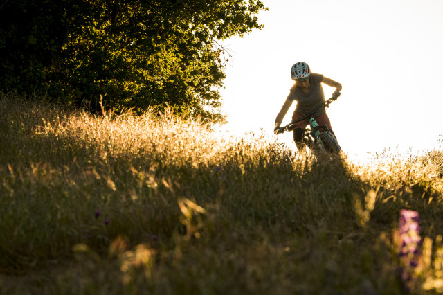Trek Fuel EX Sunset.jpg