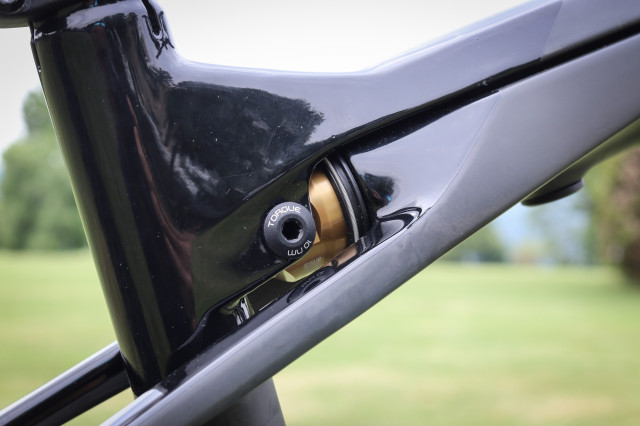 Trek Supercaliber 2020-15.jpg