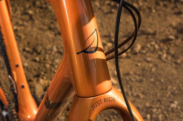 True Grit - Curry Orange - 5.jpg