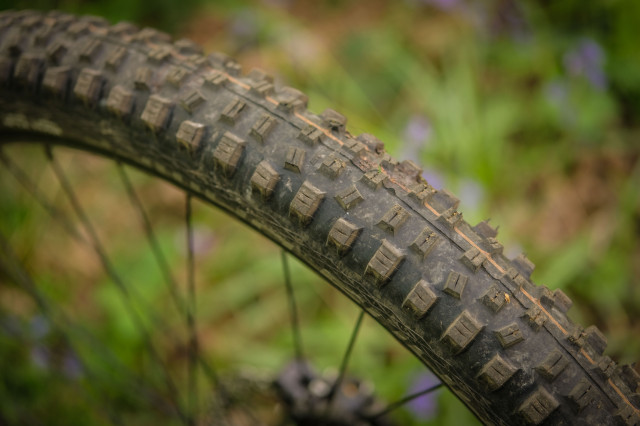 Vitus Mythique 29 VRS Rear tyre-16.jpg
