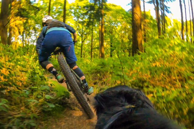 Vitus Mythique 29 VRS Riding.jpg