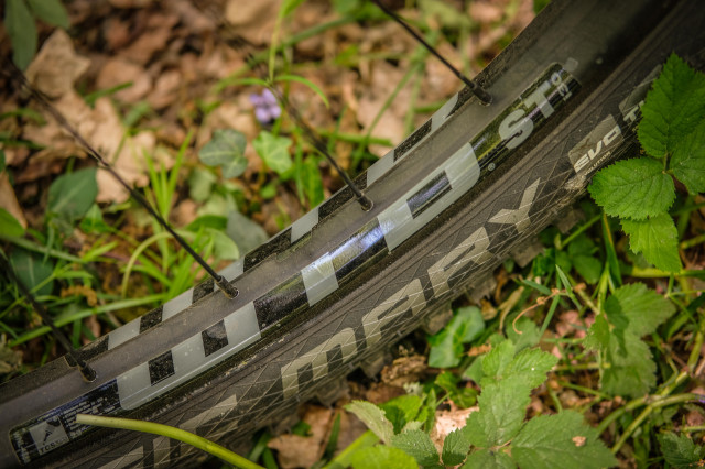 Vitus Mythique 29 VRS Wheels-27.jpg