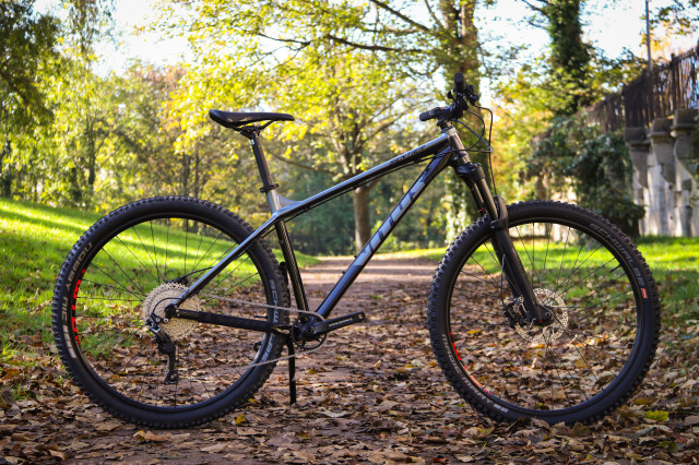 Vitus Sentier VR29 Detail Whole bike-3.jpg