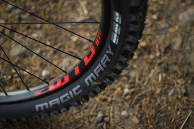 Vitus Sentier VRS Detail Front Tyre-10.jpg