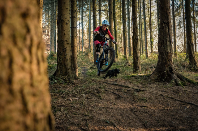 Vitus Sommet 27 Riding-1.jpg