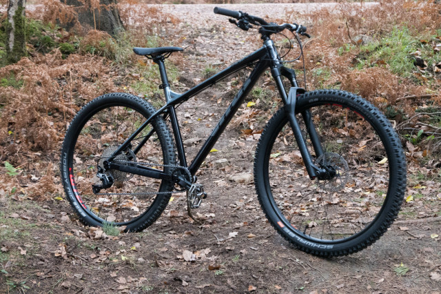 Vitus-Sentier-29-VR-2019-review-100.jpg