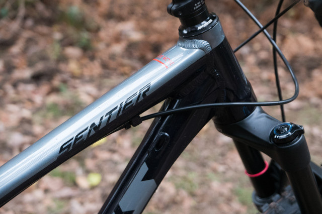 Vitus-Sentier-29-VR-2019-review-102.jpg
